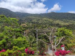-海南热带雨林国家公园吊罗山景区