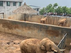 -西霞口神雕山野生动物世界