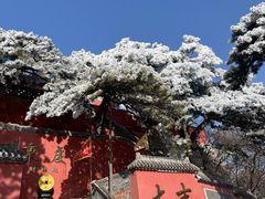 -妙峰山风景名胜区