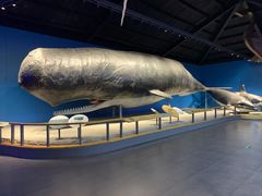 -青岛海底世界-水族馆