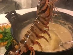 -鲜入围煮花胶鸡海鲜火锅