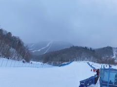 -亚布力新体委滑雪场
