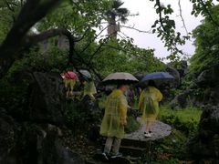 -千岛湖石林