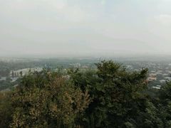 -上海佘山国家森林公园西佘山园