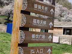 -中华福寿山