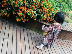 -一棵树·意大利西餐厅One Tree(新城店)