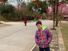 -五龙客家风情园