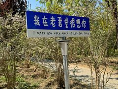 -老君堂公园