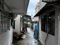 -南丫岛