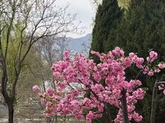 -青龙湖公园