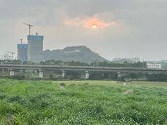 -光明小镇欢乐田园