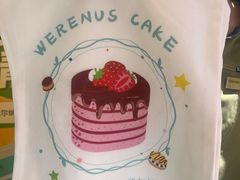 -维尔纳斯·生日蛋糕动物奶油冰淇淋蛋糕(人大店)