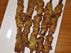 红柳枝烤羊肉串-巴依老爷新疆美食(望京小街店)