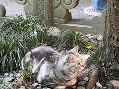 -龙华寺