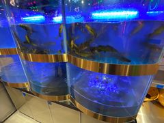 -蛙一刀·麻椒鱼火锅(金仙桥店)