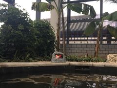 -太白山御龙湾温泉