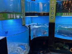 -千岛湖小鱼儿·淳安匠心农家菜