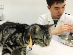 -贝利宠物医院·骨科·眼科·肿瘤转诊中心(南坪诊疗中心)
