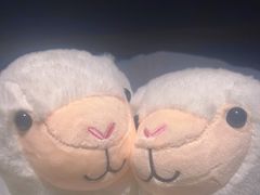 -金色印象·4k影院式足体养生(龙腾路店)