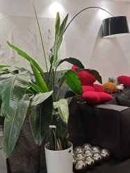 -春田皮肤管理中心品牌旗舰店