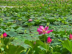 -云龙湖旅游景区