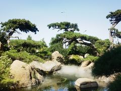 -罗红摄影艺术馆