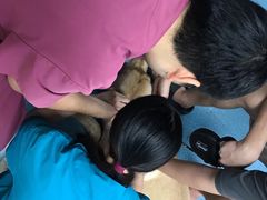 -宠颐生猫科·内科皮肤科(西平世纪城店)