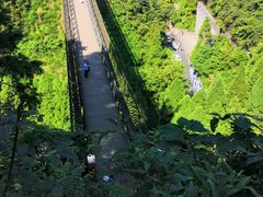 -娄山关景区