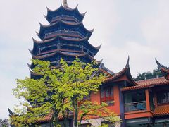 -铁山坪森林公园