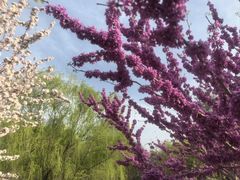 -元大都城垣遗址公园