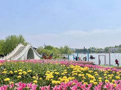 -金卉庄园