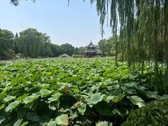 -莲池书院博物馆