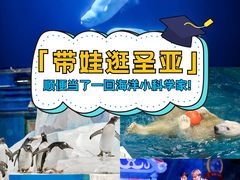 -大连圣亚海洋世界