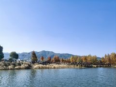 -四明湖