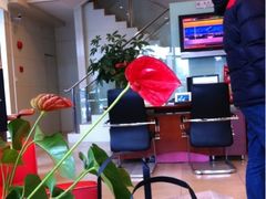 -招商银行(豫园支行)