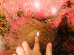 -西雅图水族馆