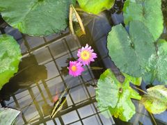 -国家植物园南园