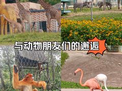 -哈尔滨北方森林动物园