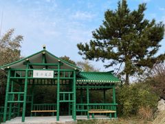 -渤公岛生态公园