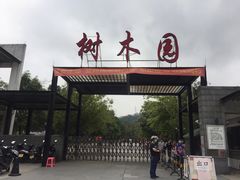 -中山市树木园