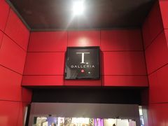 -DFS旗下T广场(新加坡店)