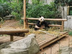-深圳野生动物园