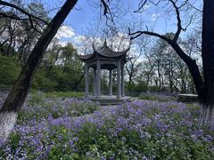 -高尔山公园