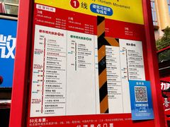 -BUS TOUR观光巴士