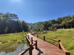 -佛山市三水区大南山森林公园