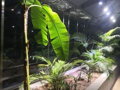 -北国商城