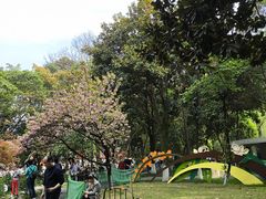 -成都市活水公园
