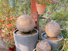 -大隐花事(熊婆婆的花园店)