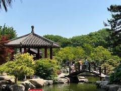 -中国唐苑