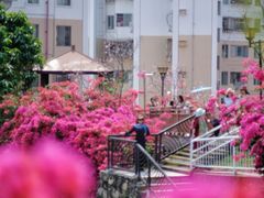 -小南山公园